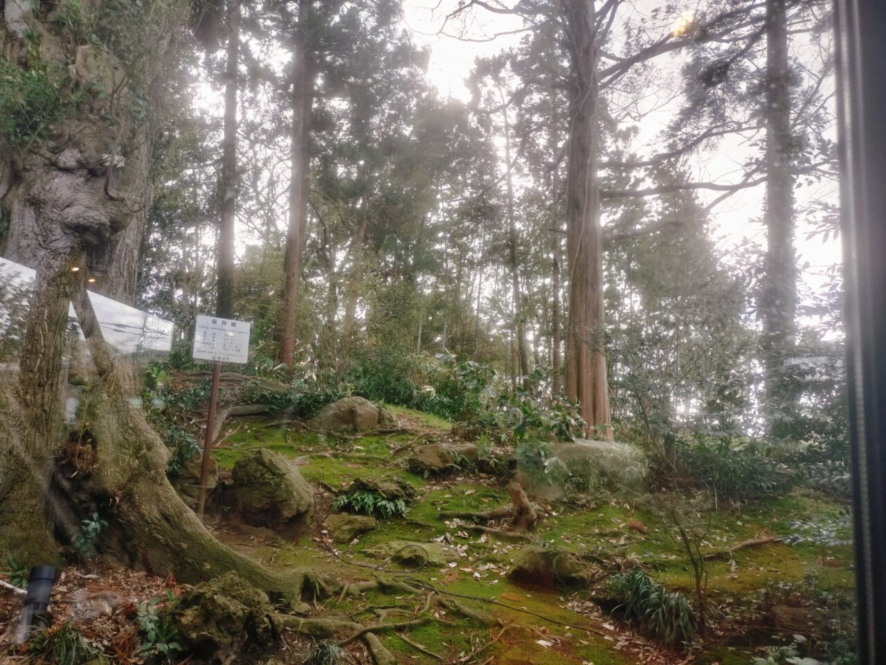 AallaZの店内からの景色