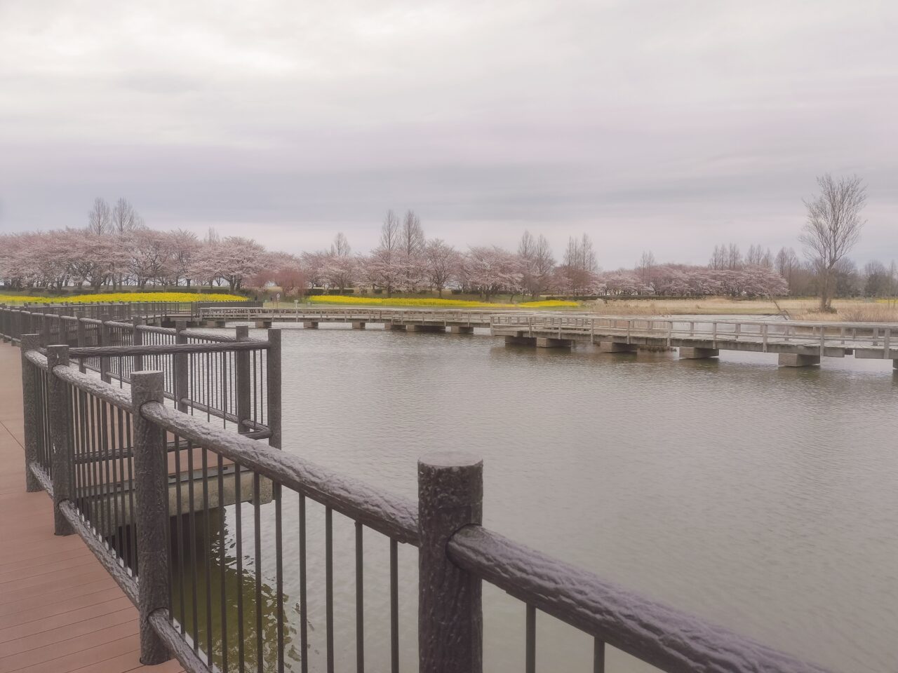 上堰潟公園の湖