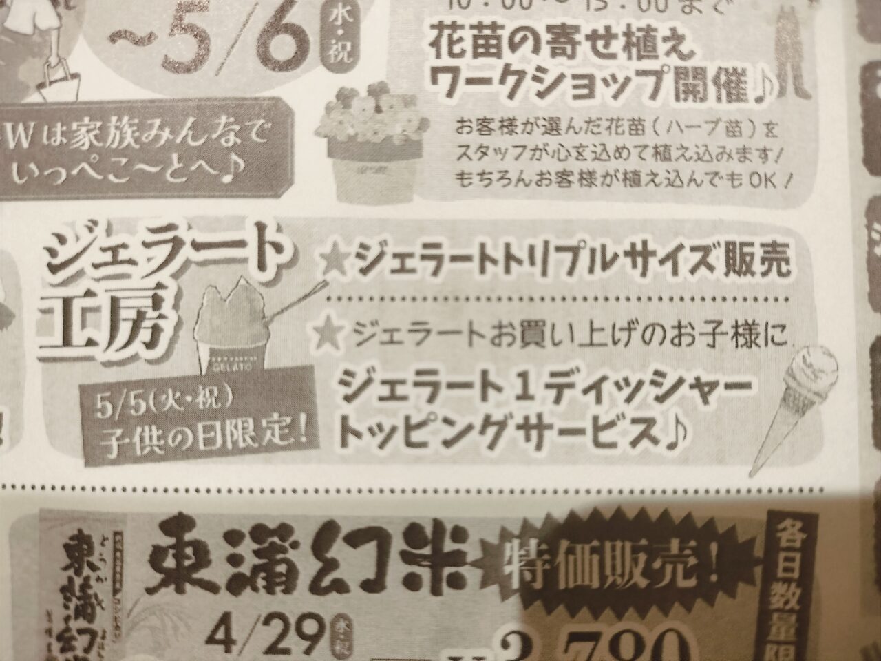 ジェラート工房チラシ