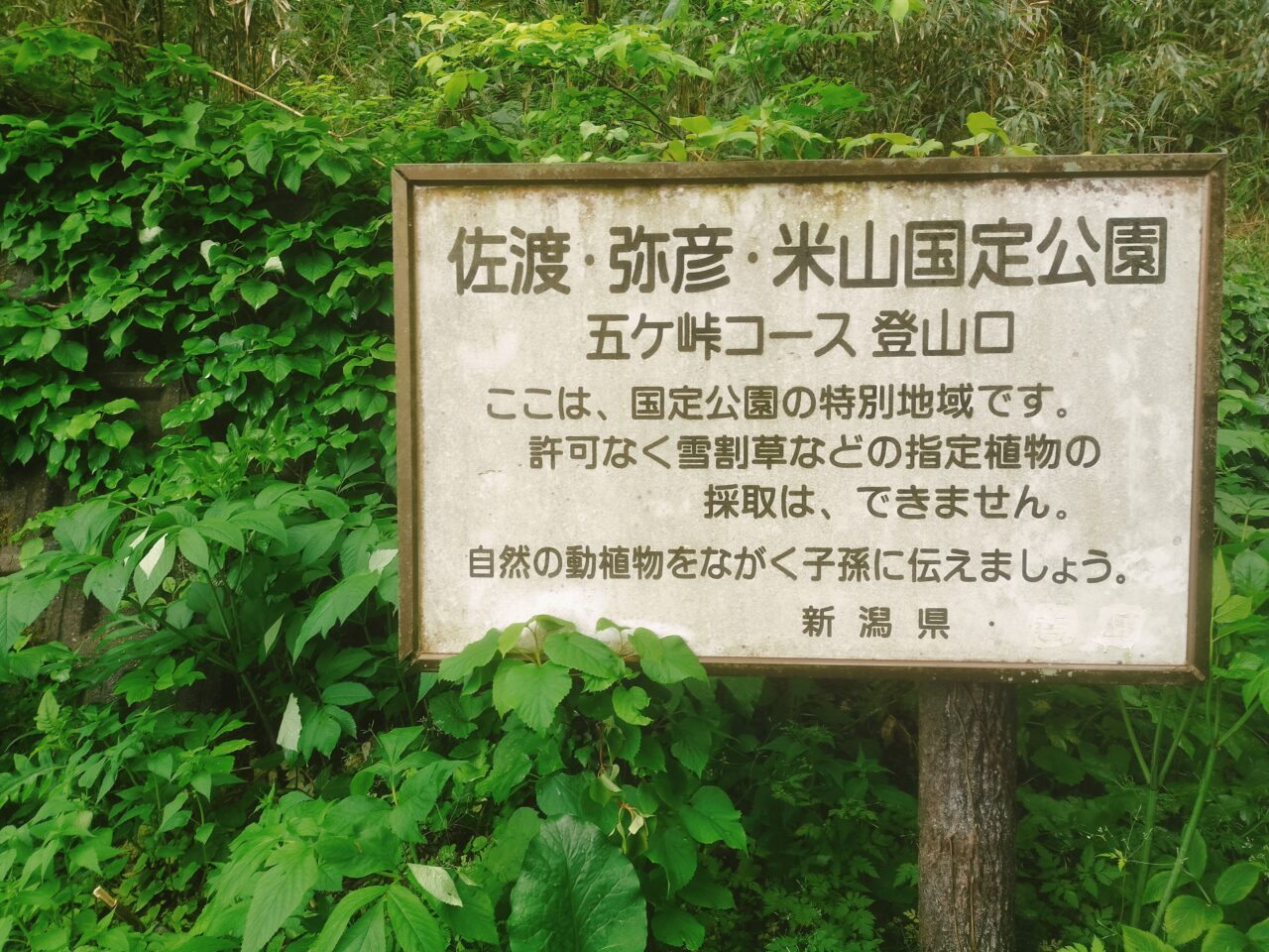 五ケ峠コース登山口看板