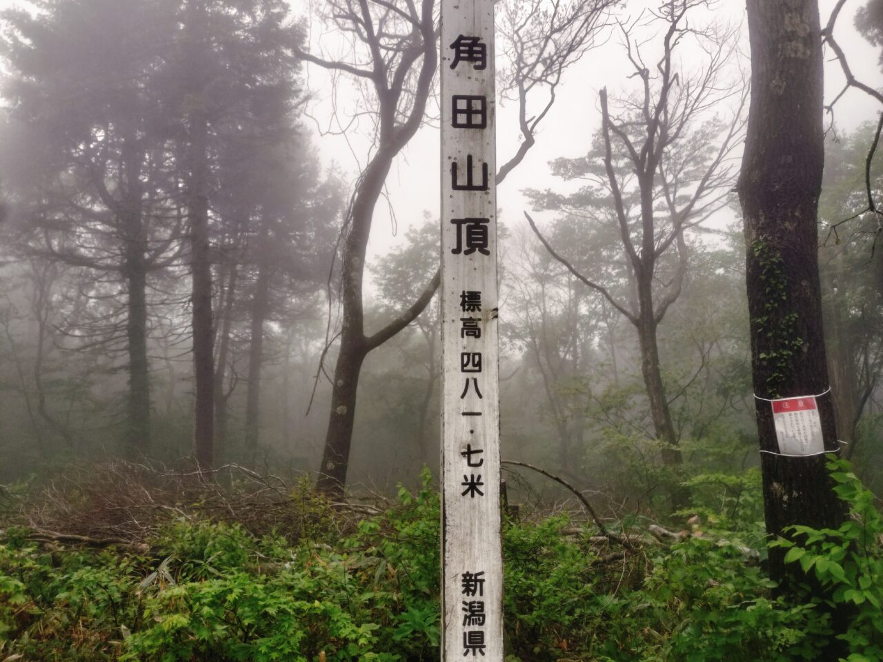 角田山山頂