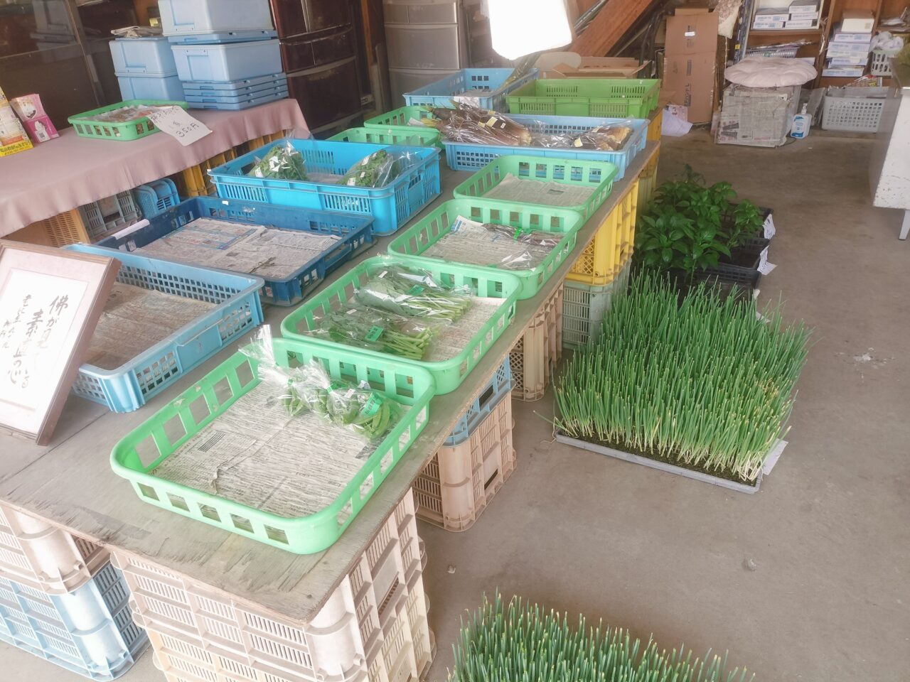 生産直売野菜