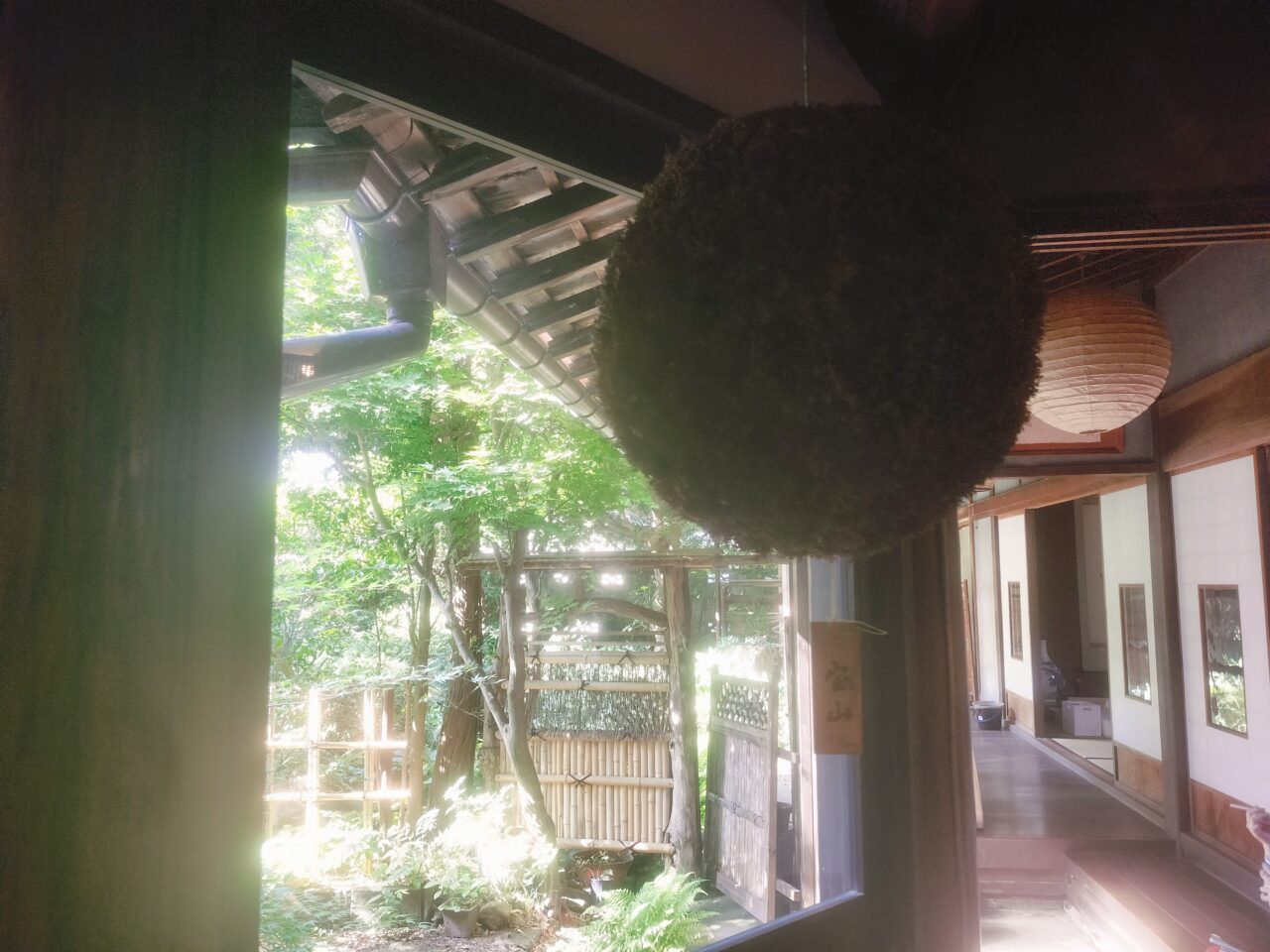 杉玉