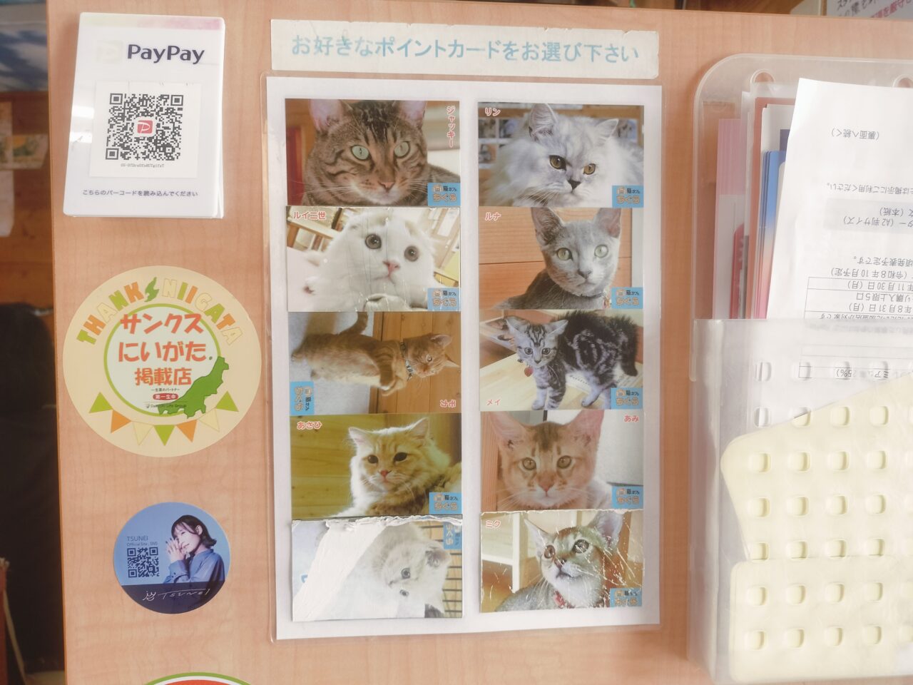 猫カフェちぐらポイントカード