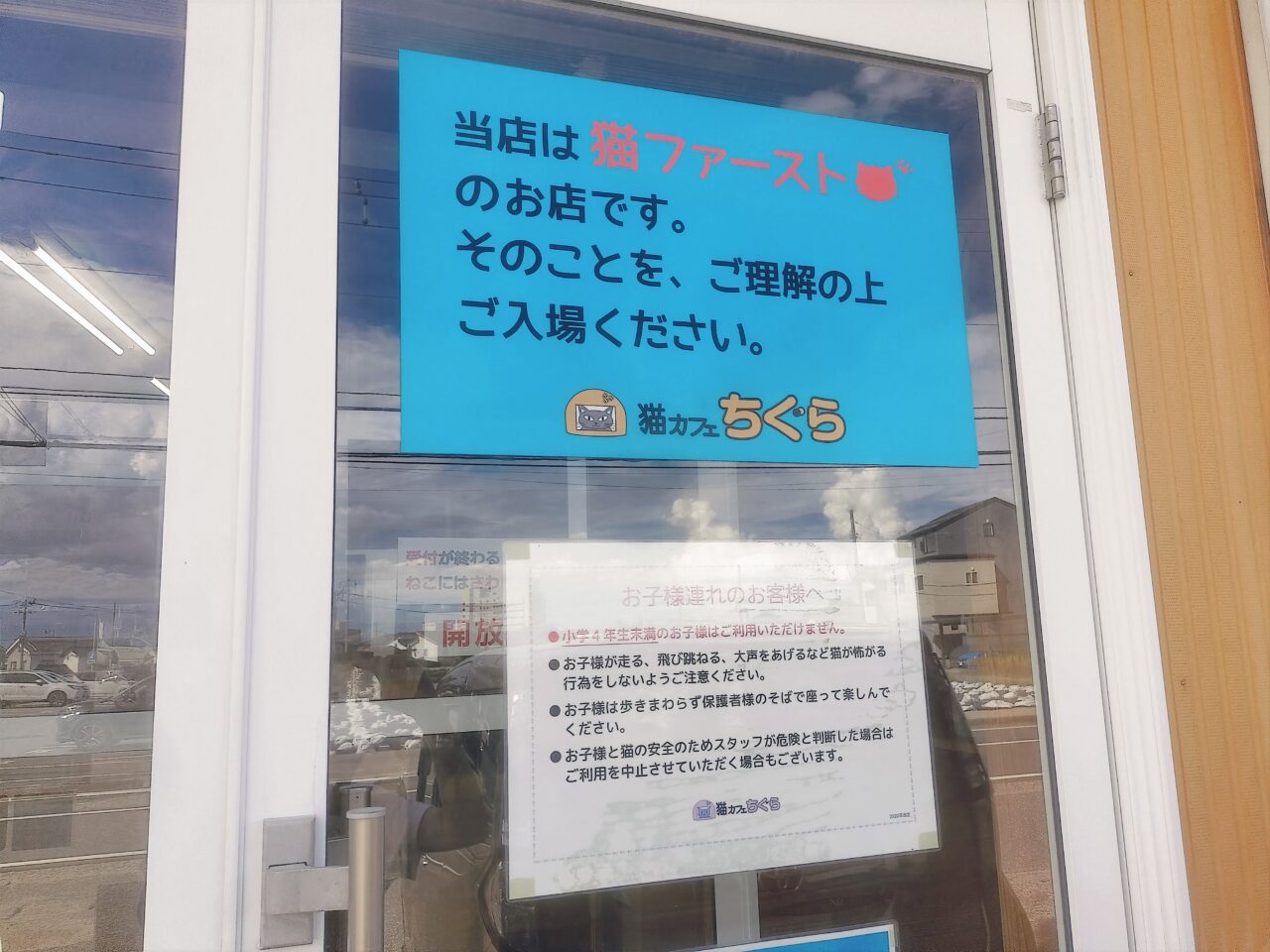 猫カフェちぐら猫ファースト