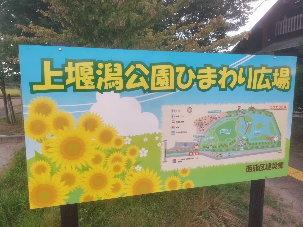 上堰潟公園ひまわり広場マップ