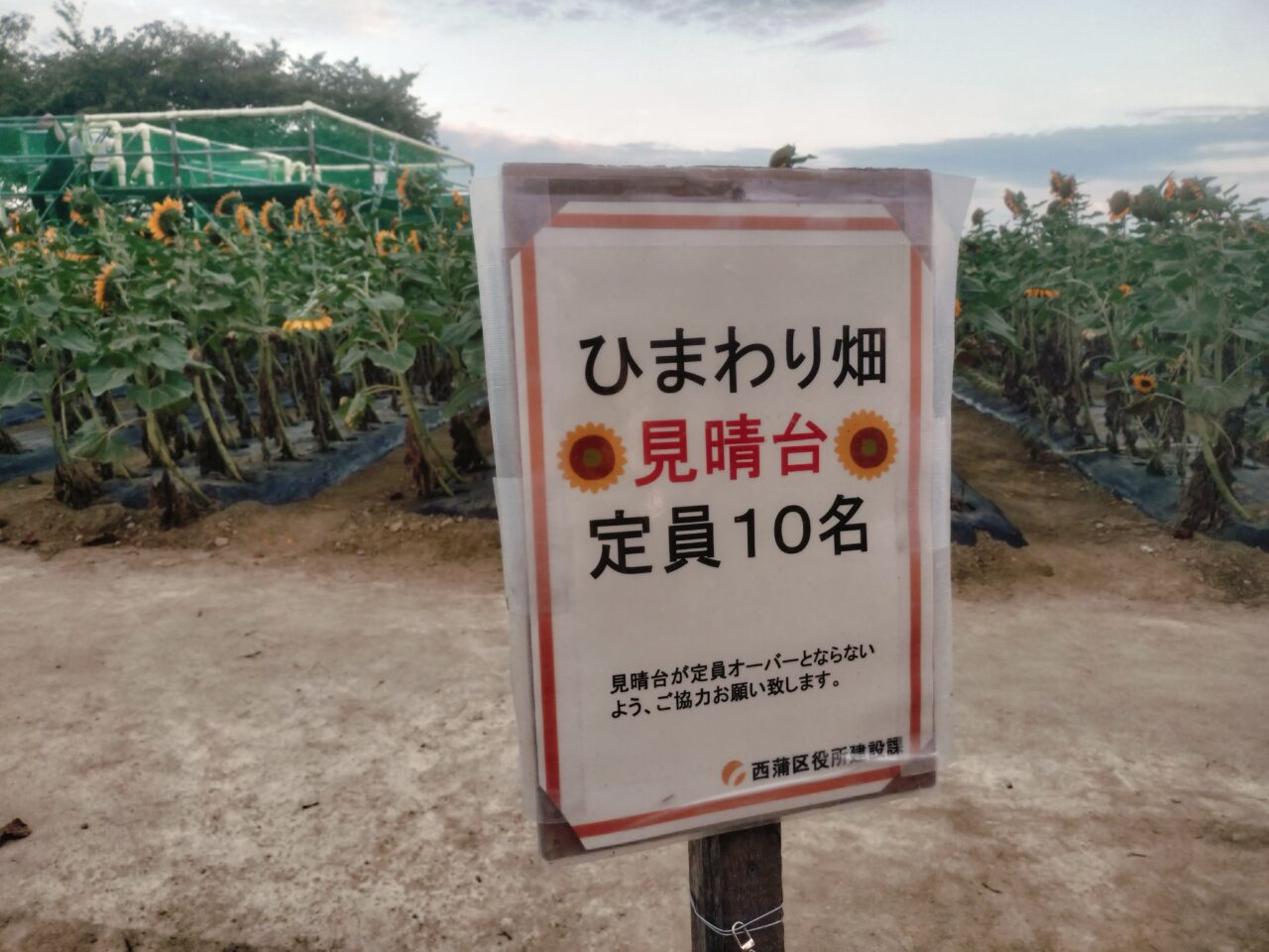 ひまわり広場見晴台定員10名