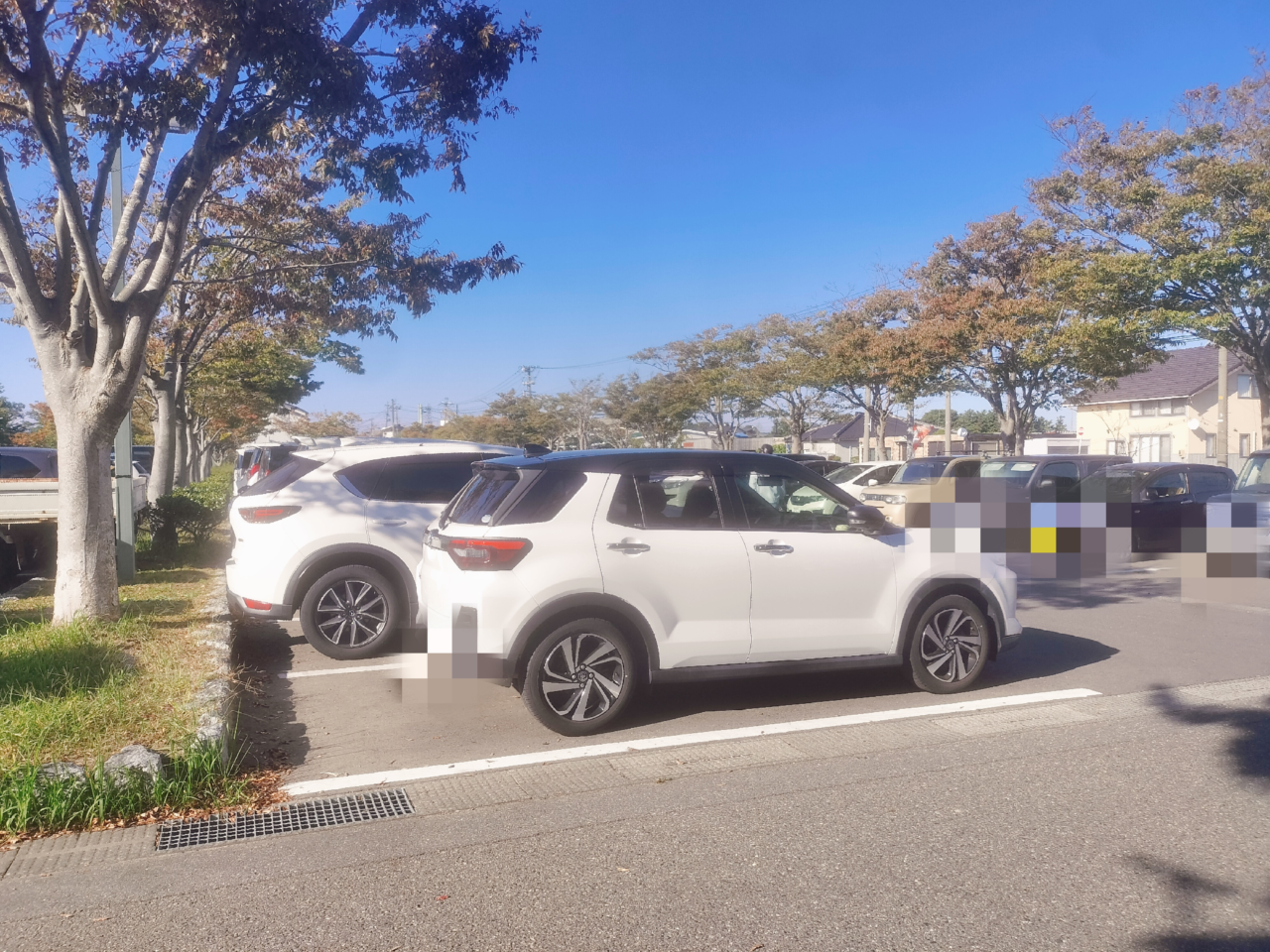 発酵ふぇす駐車場様子