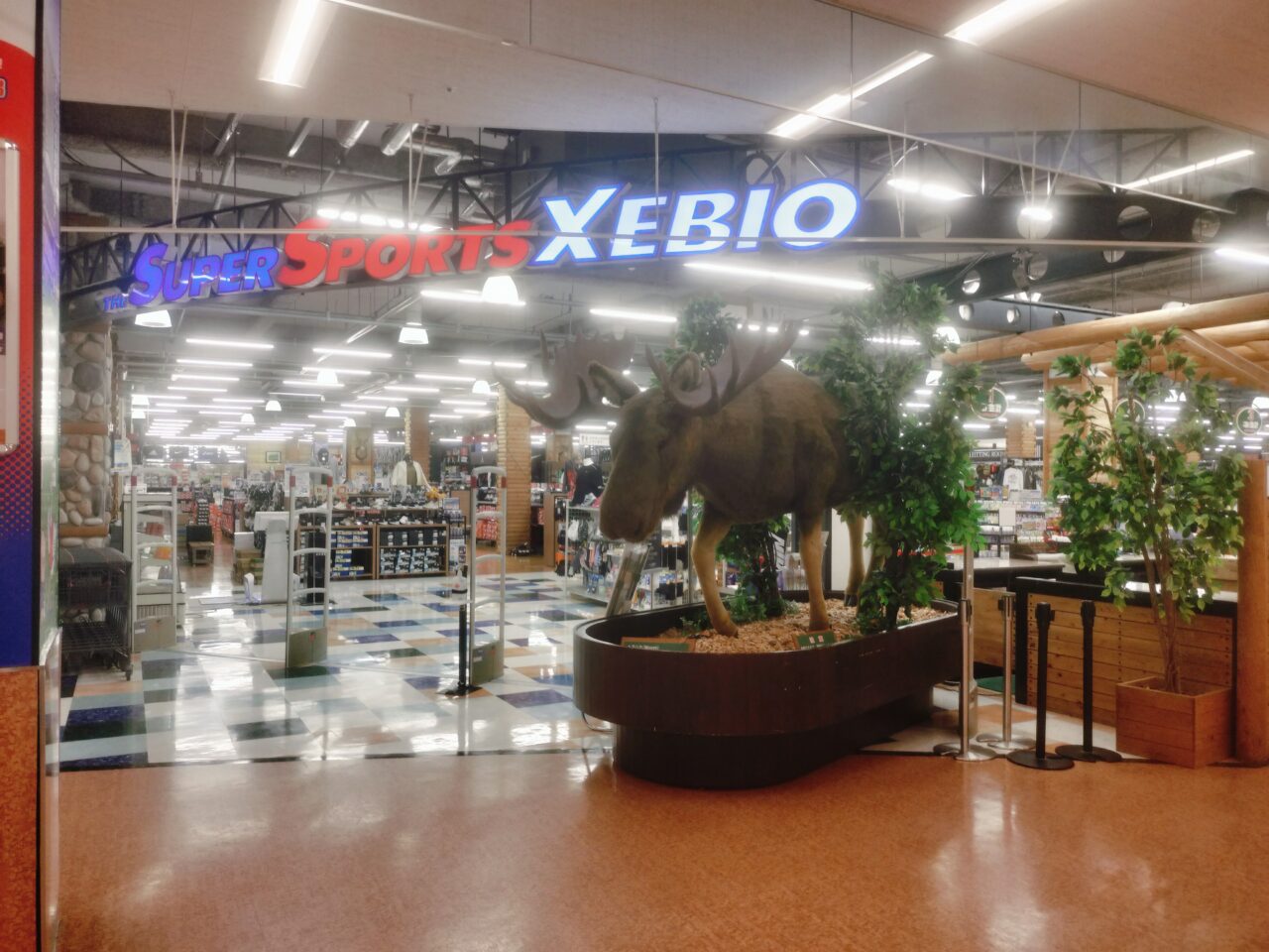 スーパースポーツゼビオ