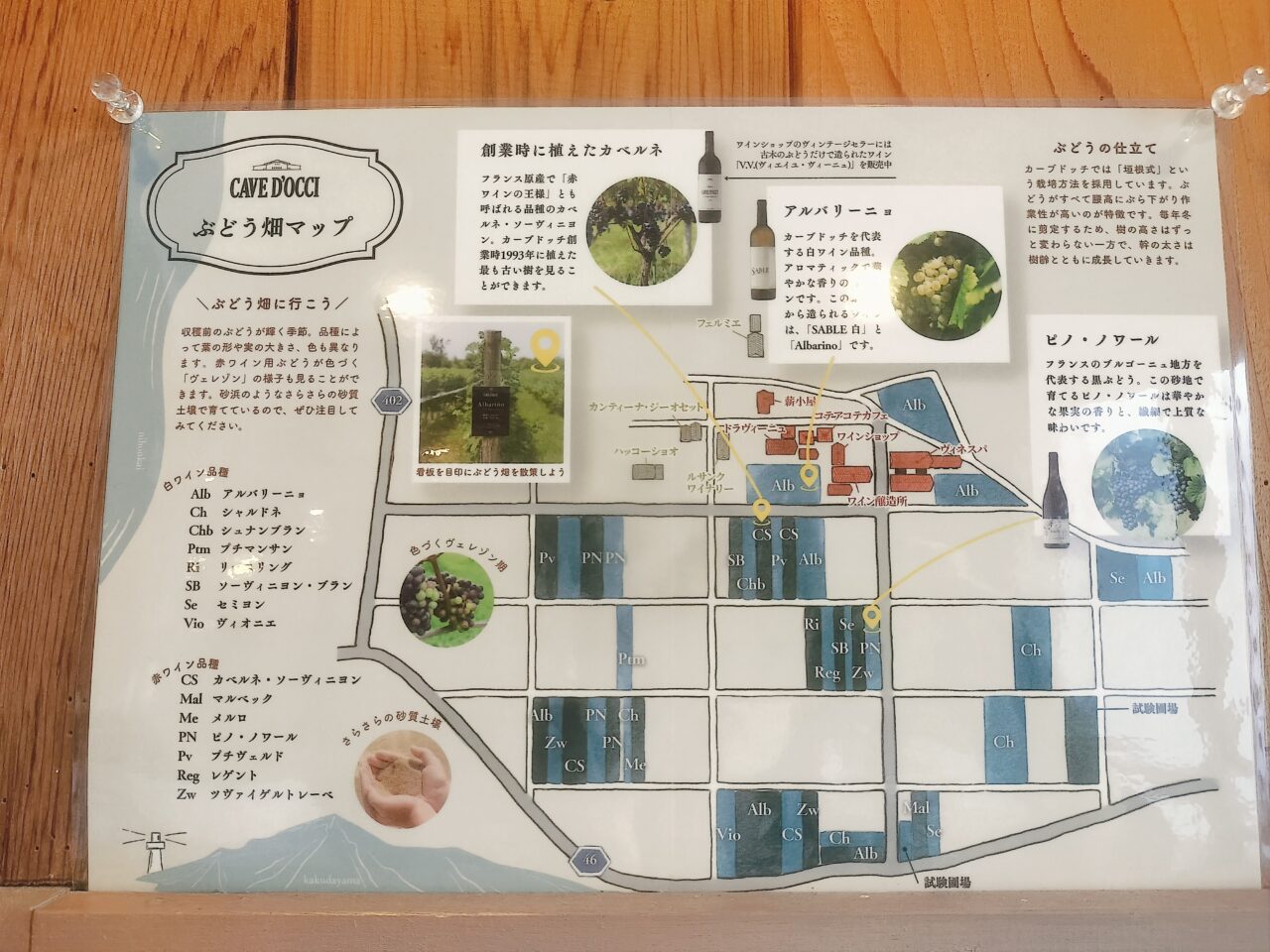 ぶどう畑マップ