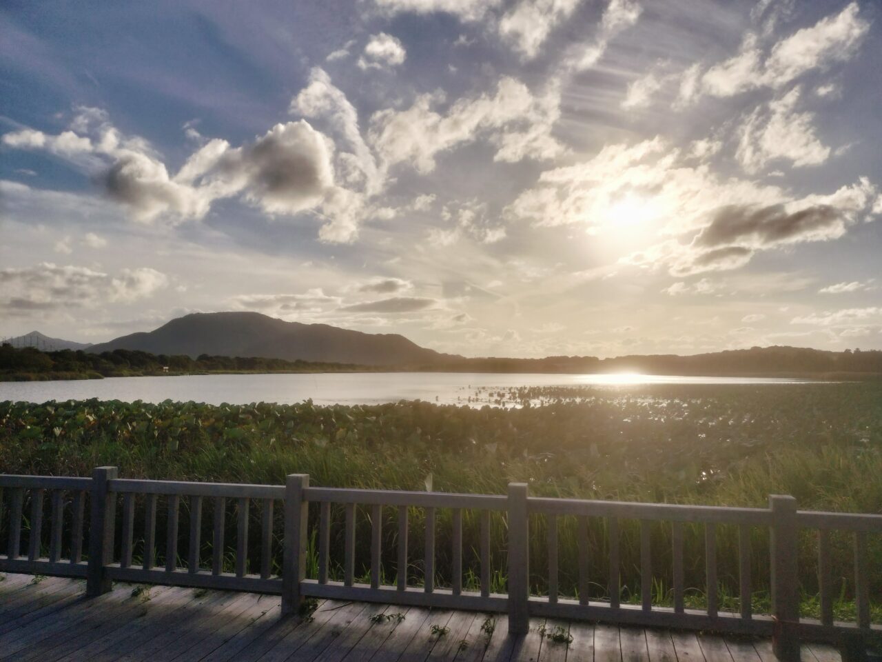 佐潟公園